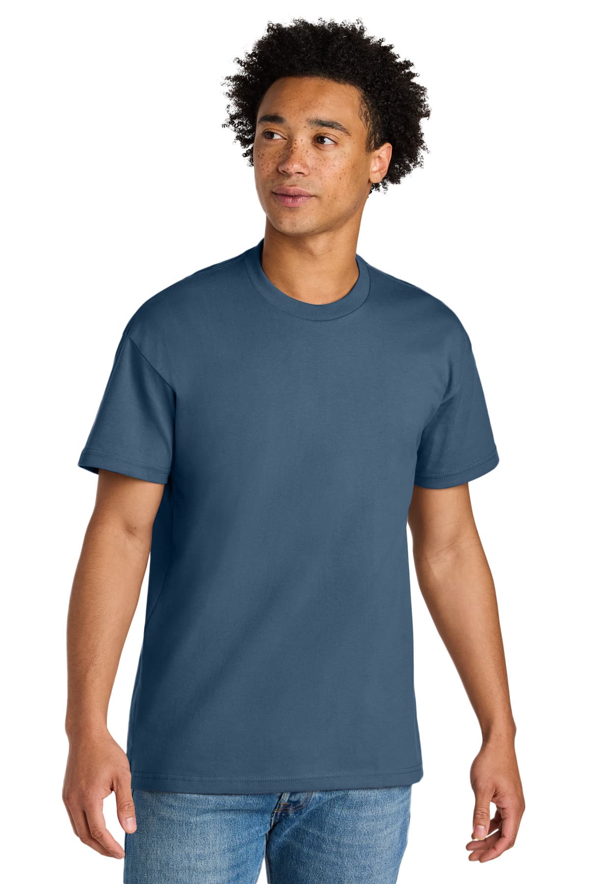 Next Level Apparel Heavyweight Tee NL7200